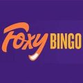 Foxy Bingo